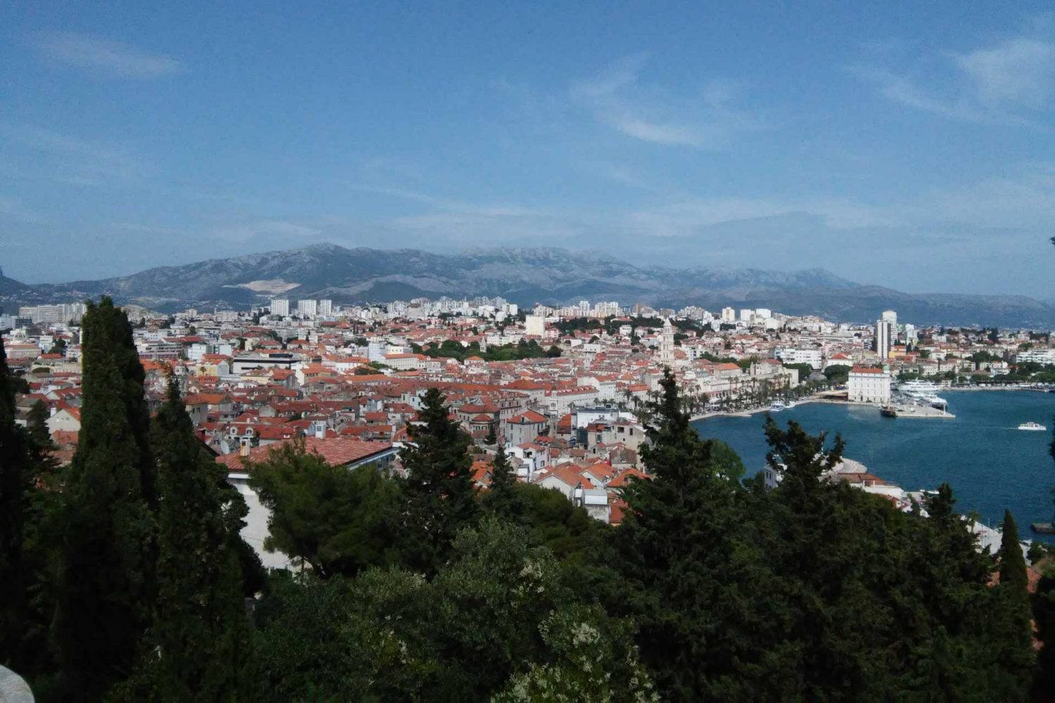 Split panoramic view