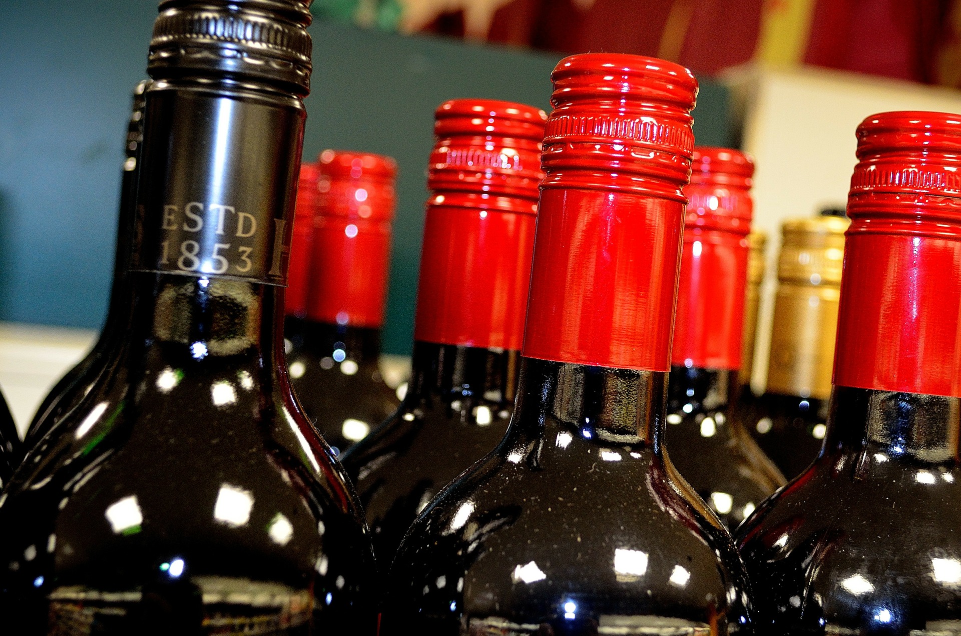 the most popular wines of dalmatia